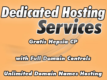 Cheap dedicated server provider